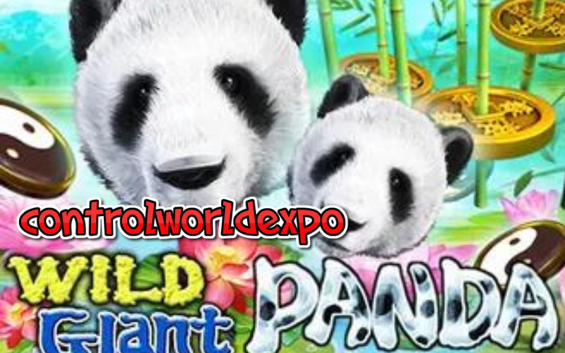 game slot wild giant panda review